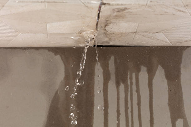 Professional Water Extraction technician working in Mattituck, NY